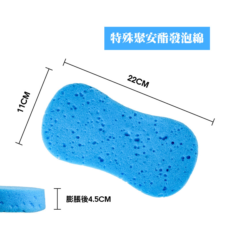 Sponge Compressed