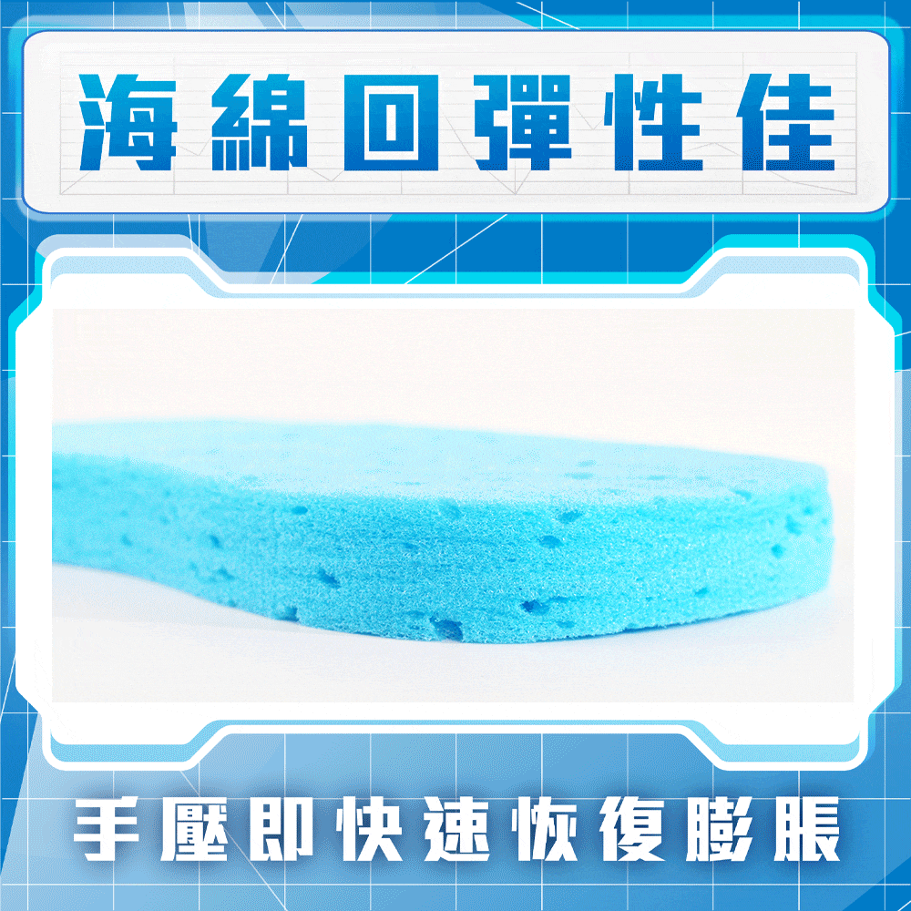 Sponge Compressed