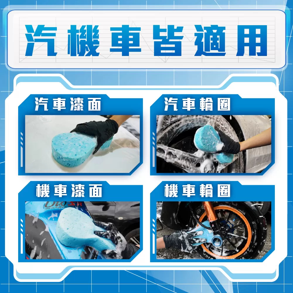 Sponge Compressed